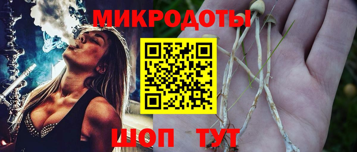 Псилоцибиновые грибы Psilocybine cubensis Нефтекумск