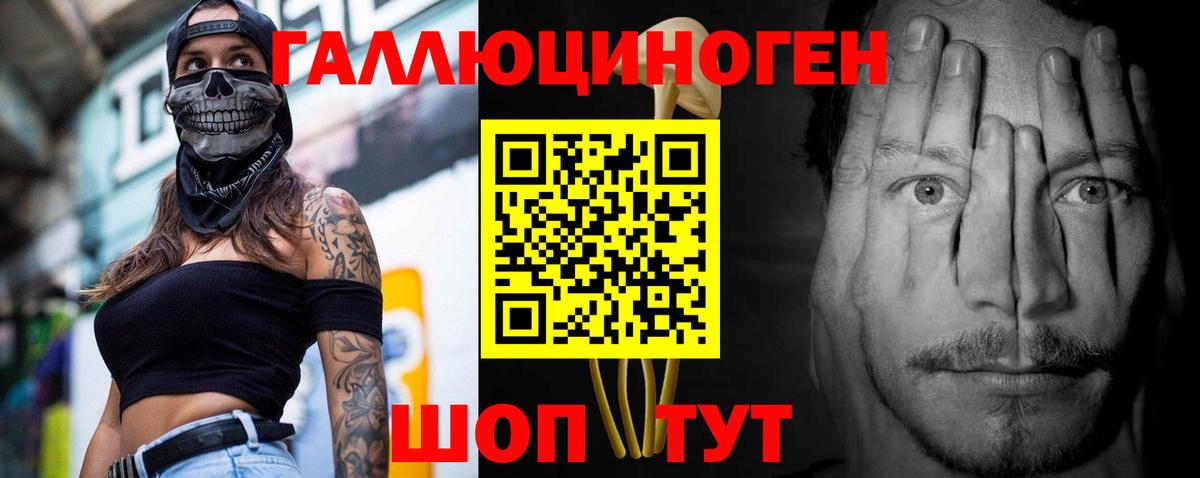 Псилоцибиновые грибы Psilocybe  Псилоцибиновые грибы Psilocybine cubensis  что такое   Вход с VPN  Нефтекумск 